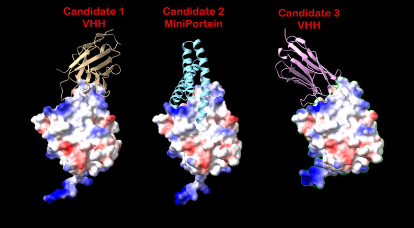 the First Anthropic × Adaptyv Protein Design Competition - EGFRa